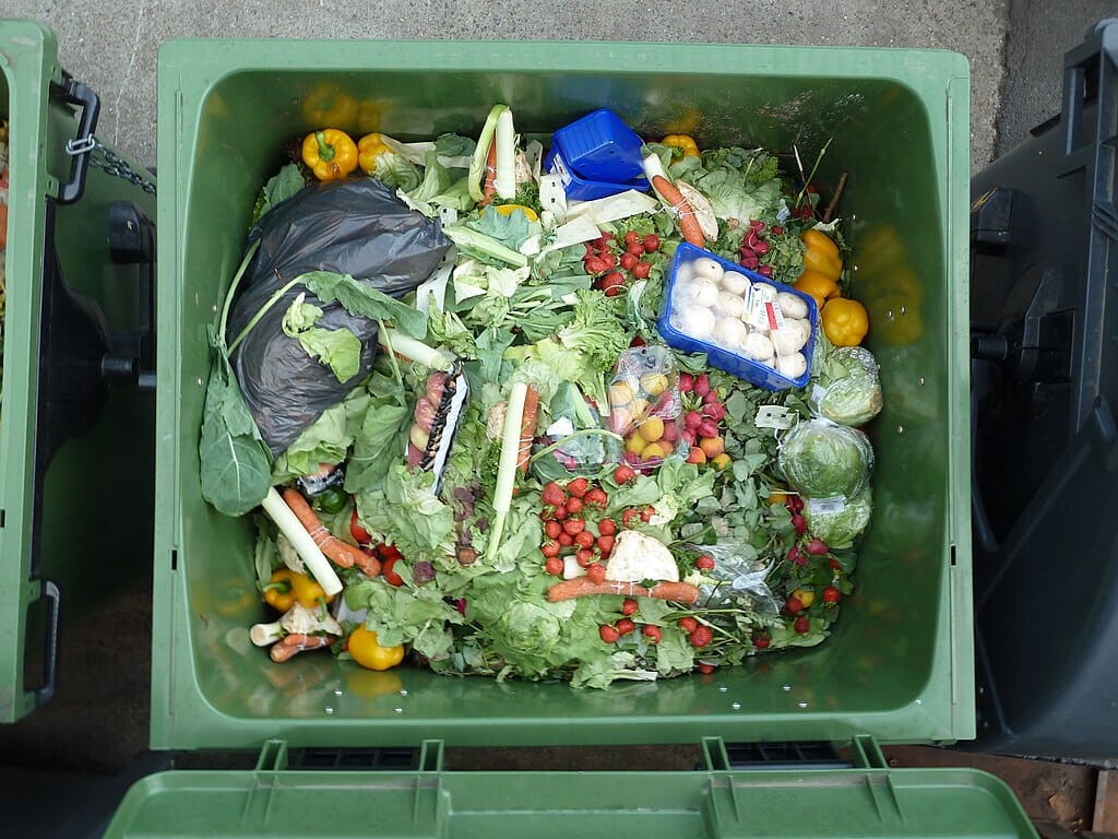 1024px-Treasure_trove_of_wasted_food