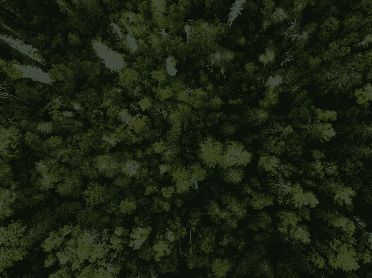 Environment–kristaps-ungurs-owcJsiIK7UU-unsplash–dark