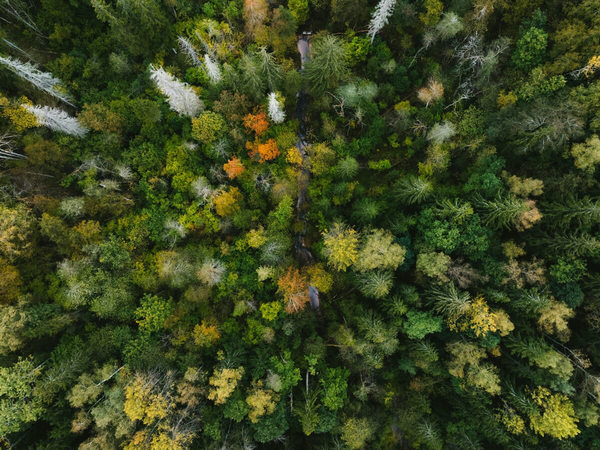 Environment–kristaps-ungurs-owcJsiIK7UU-unsplash