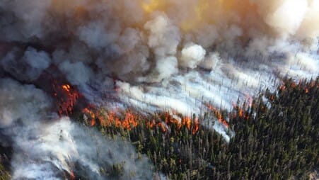 ForestFires