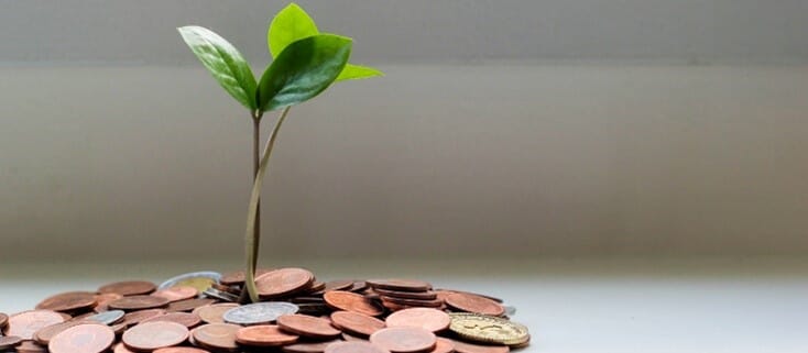 GrantFundingLeaves