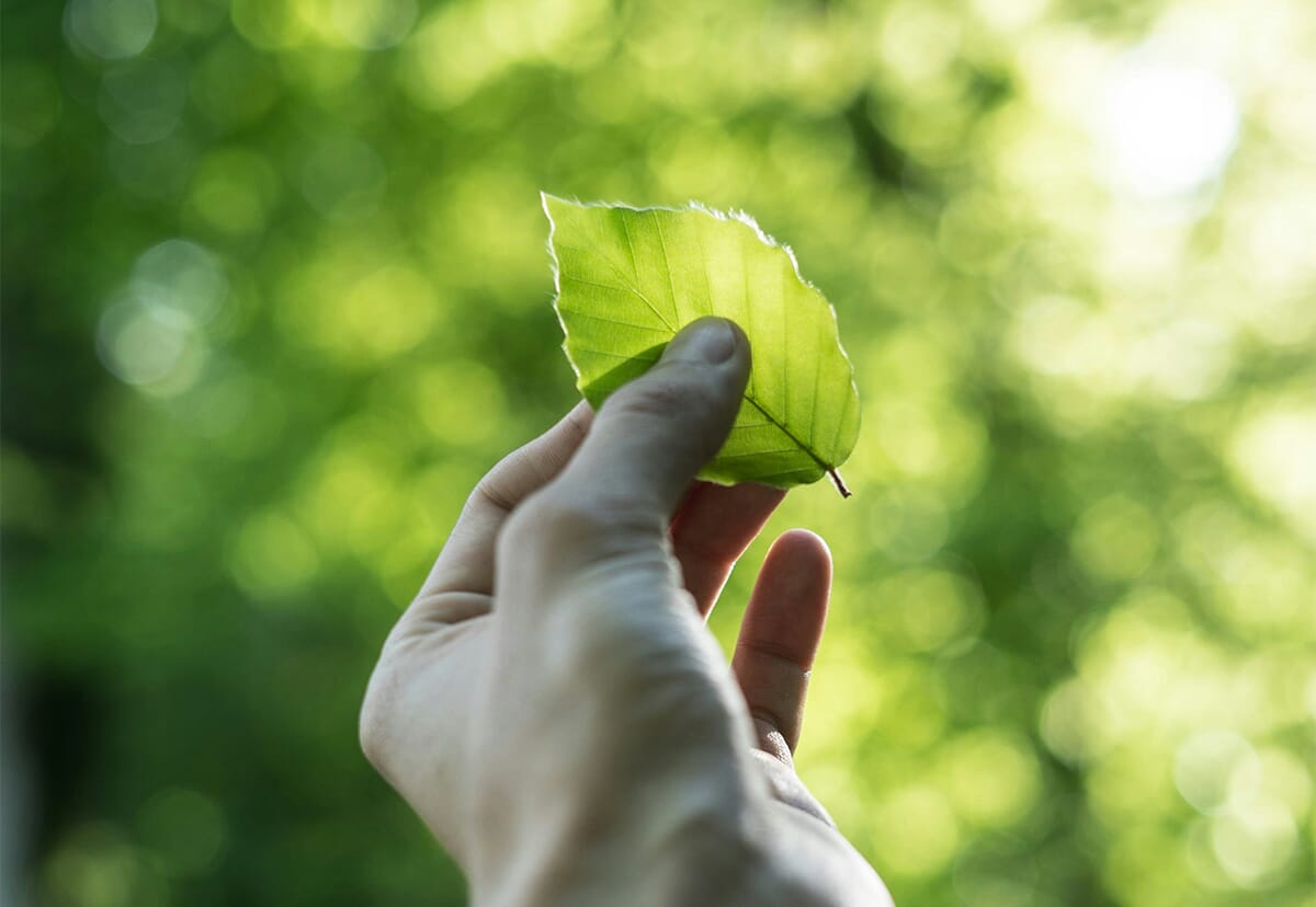 ISO-14001-news-image-1