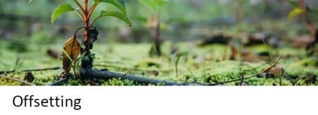 OffsettingPlant