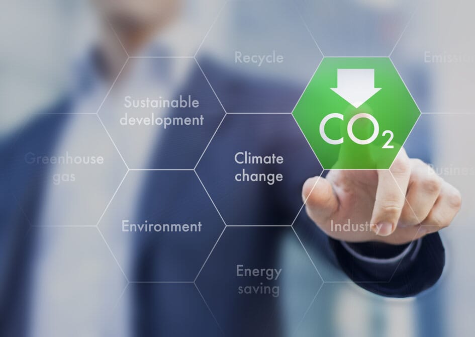 The-Green-Consultancy-smaller-1