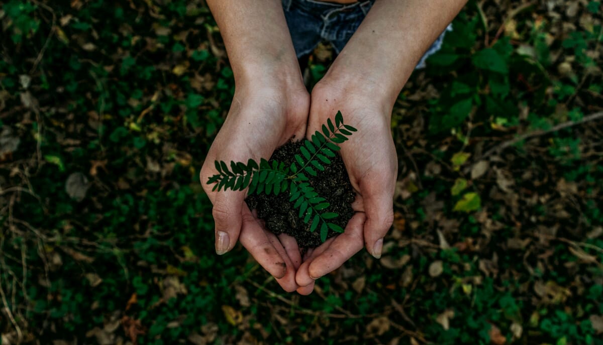 Environment–noah-buscher-x8ZStukS2PM-unsplash
